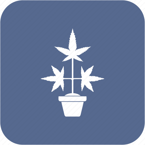 Canabis, drug, plant, pot icon - Download on Iconfinder