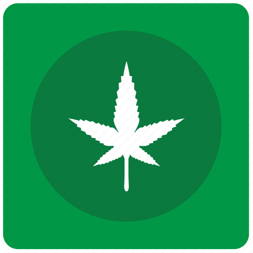 Canabis, drug, medicine, plant, tabacco icon - Download on Iconfinder