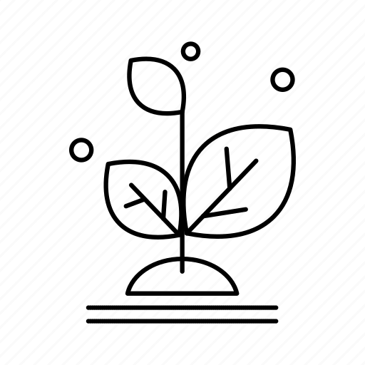 Grow, growth, plant, success icon - Download on Iconfinder
