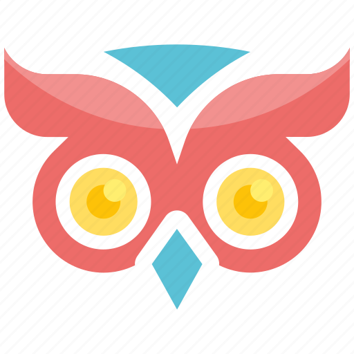 Owl, learning, lecture, math, online, paper, school icon - Download on Iconfinder