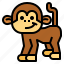 monkey, animal, mammal, wildlife, primate 