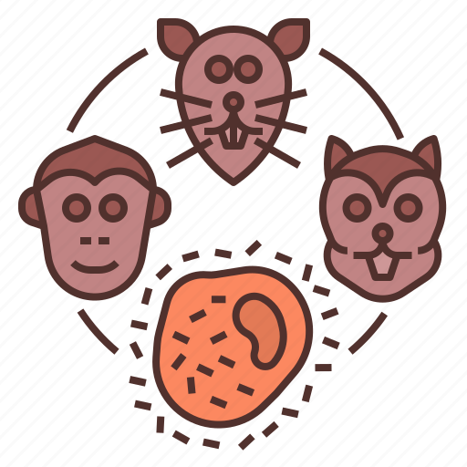 Rodents, monkeypox, mammals, animal, wildlife, transmission, tail fur icon - Download on Iconfinder
