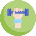 workout, fitness, muscles, dumbbell, exercise, gym