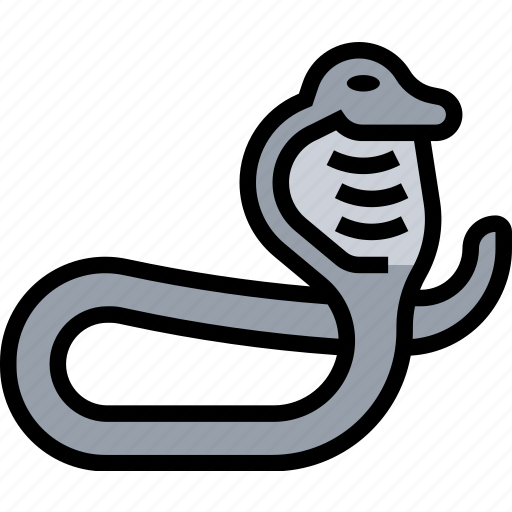 Cobra, snake, serpent, poison, animal icon - Download on Iconfinder