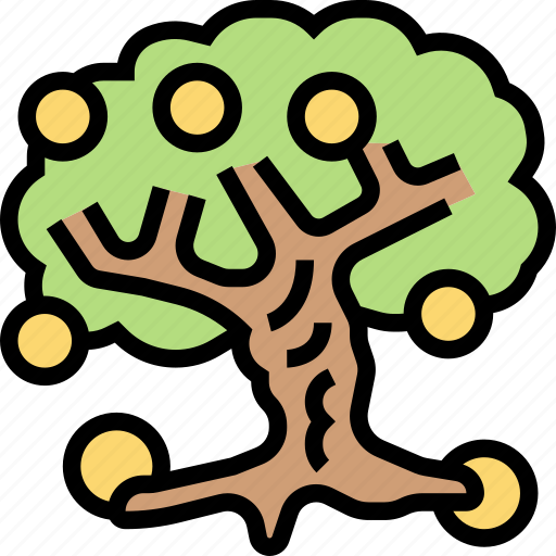 Tree, olive, plant, cultivation, farming icon - Download on Iconfinder