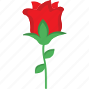 rose, flower, love, nature icon