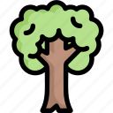 big tree, earth day, ecology, environment, mother, nature, plant
