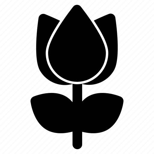 Flower, love, present, rose icon - Download on Iconfinder