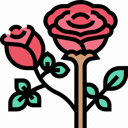Rose, flower, blossom, romantic, love icon - Download on Iconfinder
