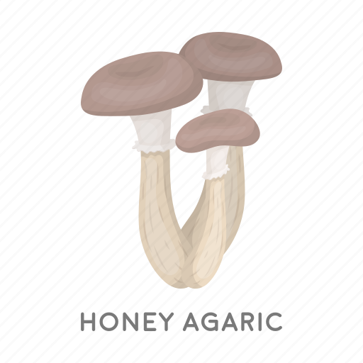Chill, delicacy, food, forest, honey agaric, mushroom, plant icon - Download on Iconfinder
