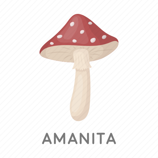 Delicacy, food, forest, mushroom, plant icon - Download on Iconfinder