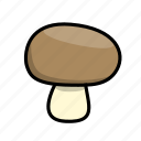 button mushroom, mushroom, mushrooms, portobello