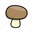 button mushroom, mushroom, mushrooms, portobello 