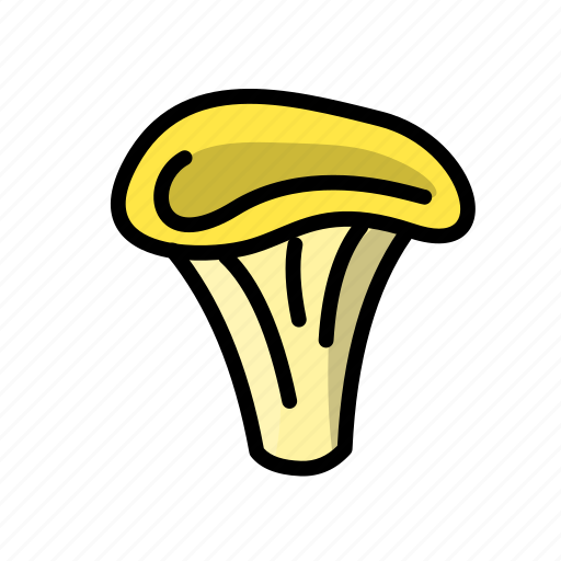 Chanterelle, fungus, mushroom, oyster icon - Download on Iconfinder