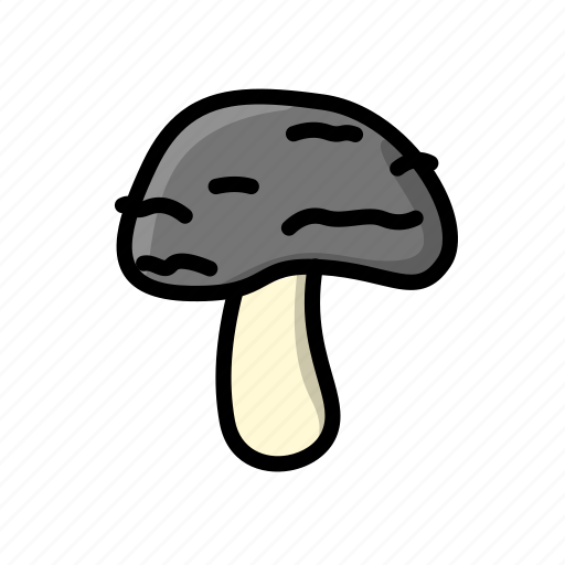 Fungi, fungus, mushroom, toadstool icon - Download on Iconfinder