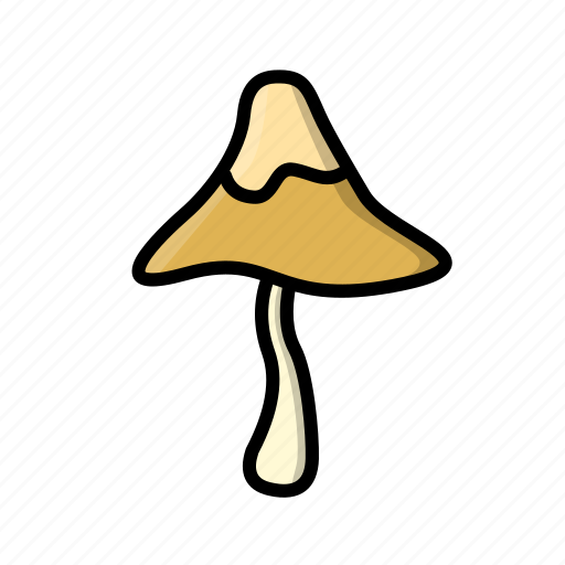 Fungi, fungus, mushroom, shitake icon - Download on Iconfinder