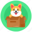 dog delivery, puppy box, dog parcel, dog box, dog package 