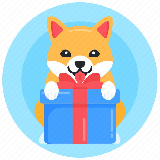 Surprise, present, dog gift, puppy gift, dog surprise icon - Download on Iconfinder