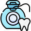 dental care, dentistry, dentist, medical, tooth, floss string, floss, hygiene, flossing 