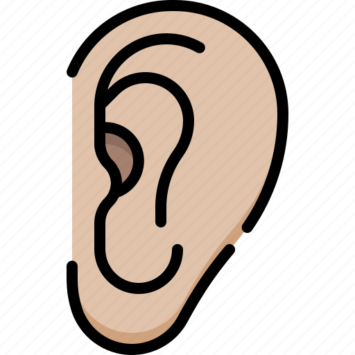 Anatomy, organ, biology, surgery, ear, hear, earlobe icon - Download on Iconfinder