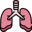anatomy, organ, biology, surgery, lungs, breath, pulmonology