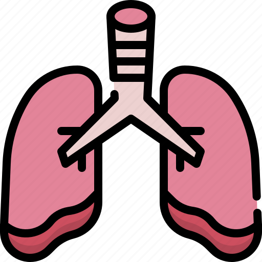Anatomy, organ, biology, surgery, lungs, breath, pulmonology icon - Download on Iconfinder