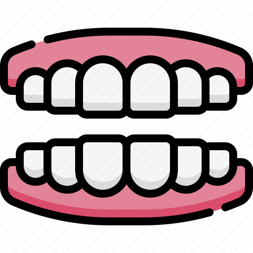 Anatomy, organ, biology, surgery, teeth, tooth, mouth icon - Download on Iconfinder