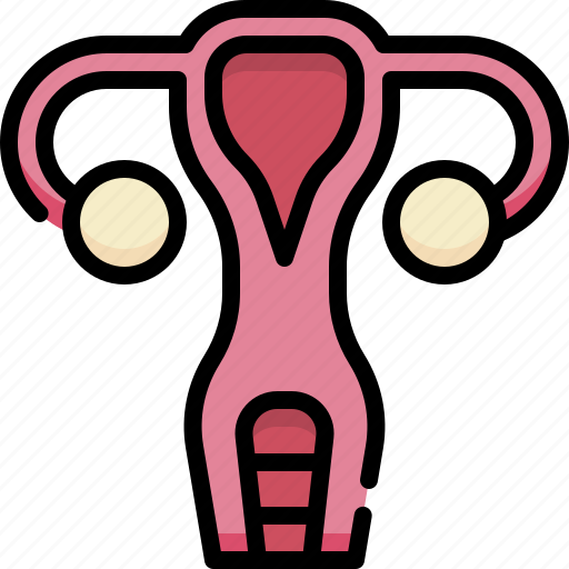 Anatomy, organ, biology, surgery, uterus, female, gynecology icon - Download on Iconfinder