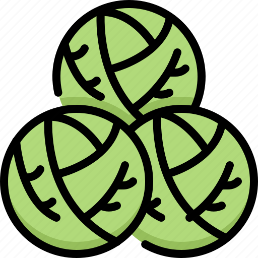 Brussels sprout, vegetable, fiber, food, fresh, farm, vegetarian icon - Download on Iconfinder