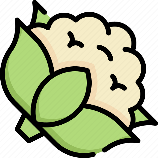 Cauliflower, vegetable, fiber, food, fresh, farm, vegetarian icon - Download on Iconfinder