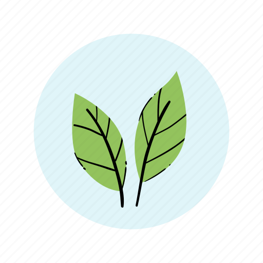 Natural, organic, healthy, vegetarian, fresh icon - Download on Iconfinder
