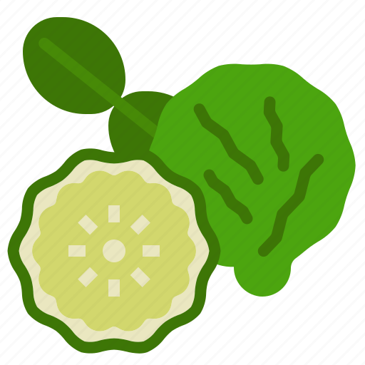 Aroma, bergamot, essential, fragrant, oil, scent, therapy icon - Download on Iconfinder