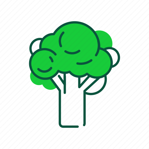 Broccoli, cooking, food, healthy, ingredient, natural, vegetable icon - Download on Iconfinder