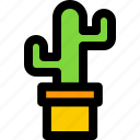 green, cactus, plant, nature