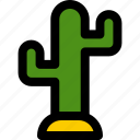 nature, green, cactus, plant