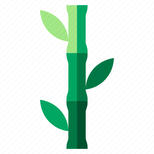 Bamboo, flower, leaf, leaves, plant, tropical icon - Download on Iconfinder
