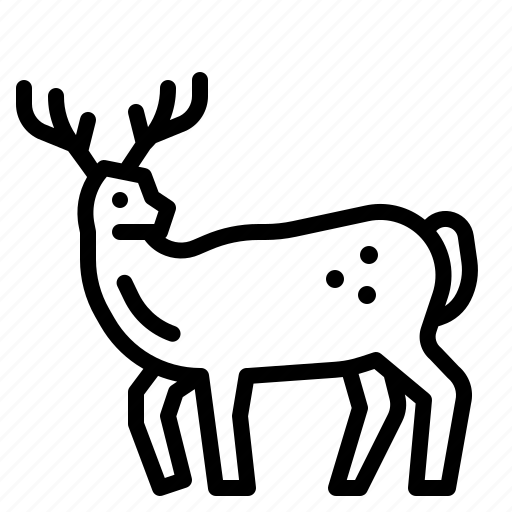 Deer, wild, life, animal, kingdom icon - Download on Iconfinder