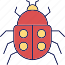 bug, insect, virus, animal, spider, web