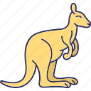 kangaroo, animal, wildlife, zoo, mammal, wild, australia, pet, nature