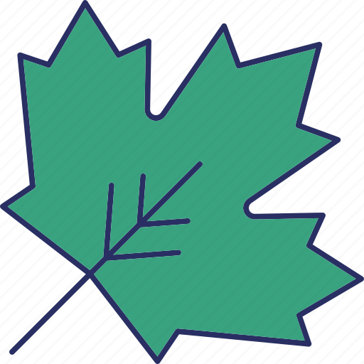 Maple leaf, leaf, nature, autumn, plant, tree, natural icon - Download on Iconfinder