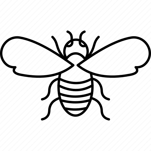 Mosquito, insect, bug, animal, nature, fly, virus icon - Download on Iconfinder