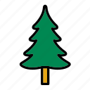 christmas, fir, flora, forest, nature, tree