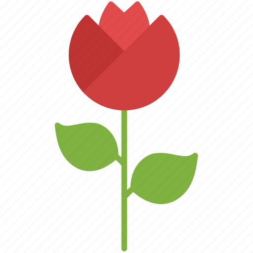 Rose, love, valentine, garden, romance, spring, floral icon - Download on Iconfinder