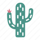 cactus, leaves, desert, tree, plant, flower, cacti, autumn, nature