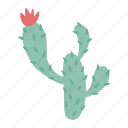 cactus, 2, business, hand, male, female, pot, desert, plant