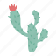 cactus, 2, business, hand, male, female, pot, desert, plant 