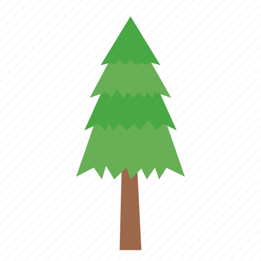 Pine, nature, botanical, plant, tree, forest, decoration icon - Download on Iconfinder