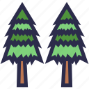 pines, nature, botanical, plant, tree, forest, decoration, winter, ecology