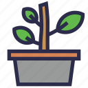 plant pot, nature, botanical, plant, tree, farming, gardening, florist, decoration