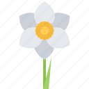 eco, ecology, flower, green, narcissus, nature